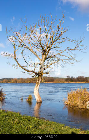 Paesaggio fluviale di oderbruch Foto Stock