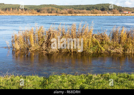 Paesaggio fluviale di oderbruch Foto Stock