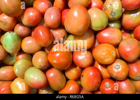 Il pomodoro molti formati diversi colori per la cottura Foto Stock