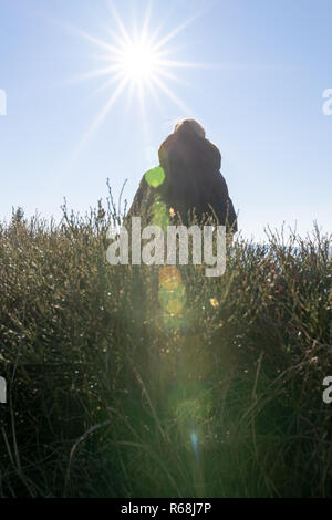 Giovane donna seduta su una panchina backlit contro la luce solare con lensflare pesanti. Foto Stock