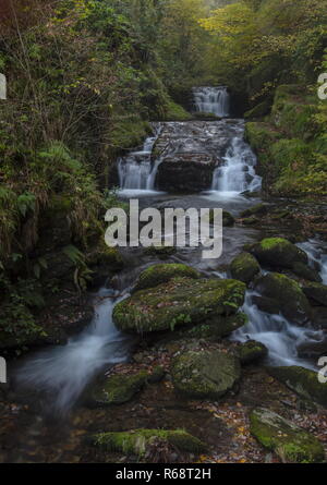 Cascata sulla trasformata per forte gradiente di quercia, acqua (fiume Lyn) a Watersmeet, vicino a Lynton, Exmoor. Foto Stock