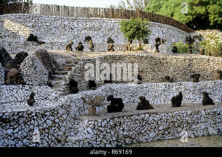 Giardino di roccia, giardino di scultura, nek chand, chandigarh, punjab, haryana, UT, India, Asia Foto Stock