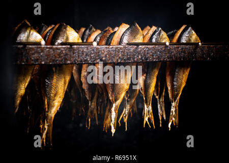 La lavorazione del pesce impianto. Pesce del freddo (caldo) fumato. Pesce affumicato in Smokehouse Box. Vicino a fumare pesce di processo per uso domestico. Preparazione di organico F Foto Stock