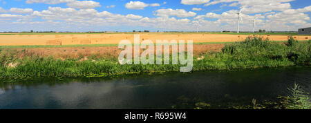 Estate; Whittlesey Dyke, Bedford livelli vicino villaggio Turves; Fenland; Cambridgeshire; Inghilterra; Regno Unito Foto Stock