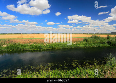 Estate; Whittlesey Dyke, Bedford livelli vicino villaggio Turves; Fenland; Cambridgeshire; Inghilterra; Regno Unito Foto Stock