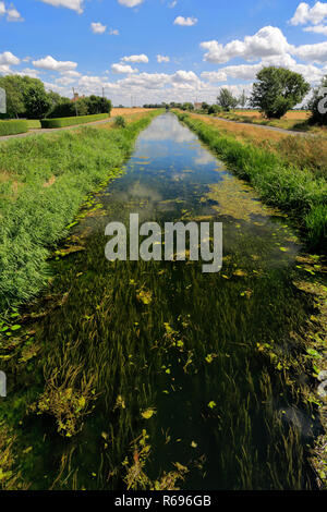 Estate; Whittlesey Dyke, Bedford livelli vicino villaggio Turves; Fenland; Cambridgeshire; Inghilterra; Regno Unito Foto Stock