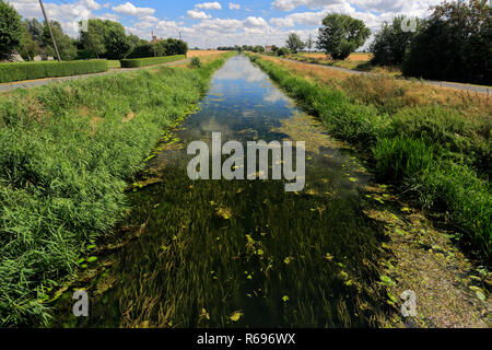 Estate; Whittlesey Dyke, Bedford livelli vicino villaggio Turves; Fenland; Cambridgeshire; Inghilterra; Regno Unito Foto Stock