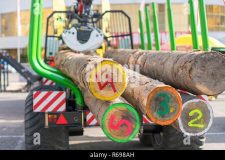 Suggerimento carrello trasporto di legname segato. Il carrello trasporta i registri, sulla strada. Tagliare i registri vengono caricati su un carrello. Grande camion trasportare legno Foto Stock