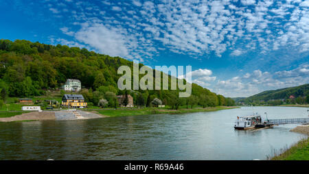 L'Elba vicino a Bad Schandau in Sassonia Foto Stock