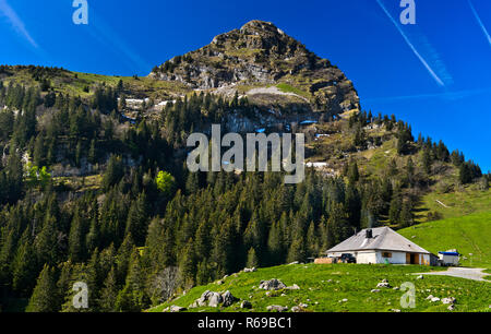 Alpeggio caseificio al di sotto del picco Dent De Jaman, Col de Jaman, Les Avants, Vaud, Svizzera Foto Stock