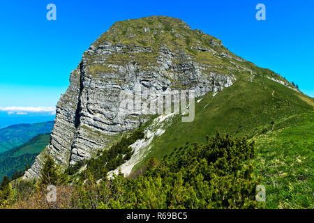 Il picco Dent De Jaman sopra Montreux, Alpi Bernoise, Vaud, Svizzera Foto Stock