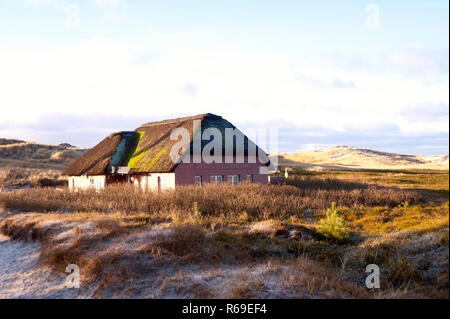 Tetto di Paglia casa su Amrum in Germania Foto Stock