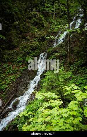 Cascata Foto Stock