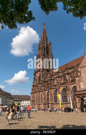 Friburgo Münster, Freiburg im Breisgau, Foresta Nera, Baden-Württemberg, Germania Foto Stock