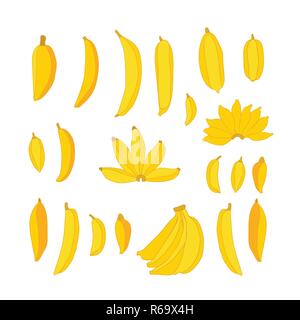 Deliziosa disegnati a mano Giallo per alimenti banane impostare isolati su sfondo bianco mazzetto di frutti dal piccolo piccolo al grande disegno vettoriale raccolta di elementi Illustrazione Vettoriale