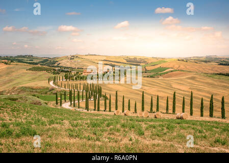 Paesaggio paesaggio della Toscana in Italia, con cipressi secolari e campo verde con bellissimi colori per giorno di estate, destinazione di viaggio in Europa Foto Stock