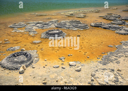 Close-up di Stromatolites al Lago Thetis, una soluzione salina lago costiere in Cervantes, Western Australia. Foto Stock