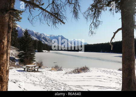 Tra due alti pini in piedi nel campo invernale coperto di neve bianca.un sacco di impronte sulla superficie.tavolo in legno e panche per sedersi e godere Foto Stock