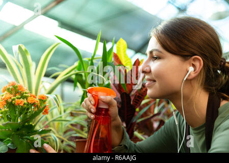 Immagine della donna europea giardiniere 20s indossare gli auricolari bianchi fiori di irrigazione con spruzzatore mentre si lavora in serra Foto Stock