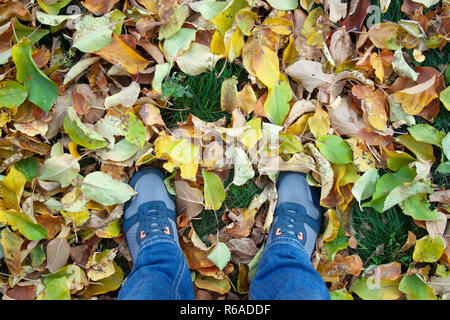 L uomo per le gambe in sneakers permanente sulla caduta foglie. Concetto di autunno Foto Stock