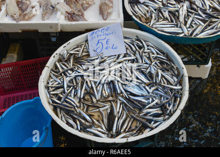 Sardine, pescivendolo, mercato settimanale, La Pignasecca, Quartiere Spagnoli, Napoli, Italia, Sardinen, Fischhandlung, Wochenmarkt, Spanisches Viertel, Neapel Foto Stock