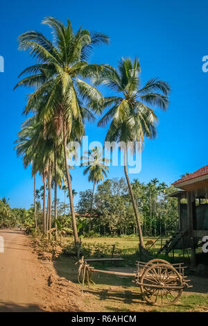 La strada attraverso cambogiano paesaggio rurale Foto Stock