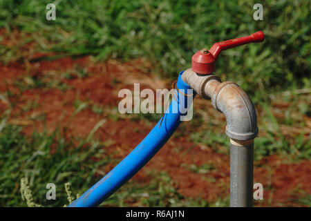 Rubinetto con blu tubo di gomma in giardino Foto Stock