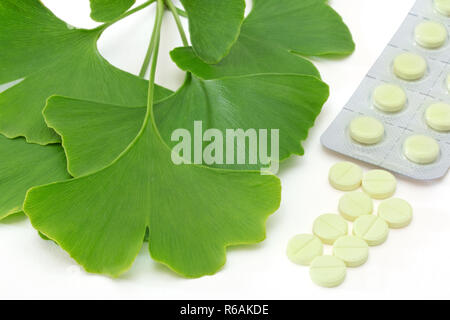 Fresche foglie di Ginkgo con le pillole e confezione in blister Foto Stock
