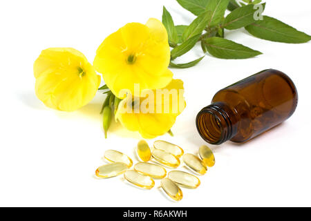 Le capsule di gelatina con sera primule e medicina bottiglia su sfondo bianco Foto Stock