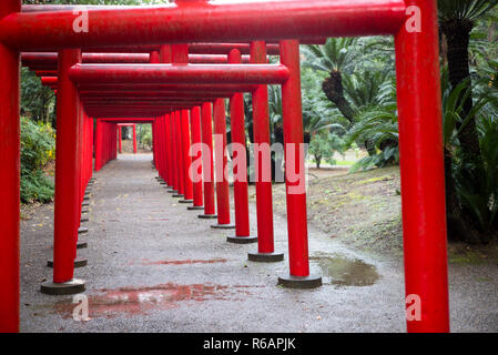 Red torii gates all'Inari Santuario del Santuario di Miyazaki, città di Miyazaki, Giappone meridionale Foto Stock