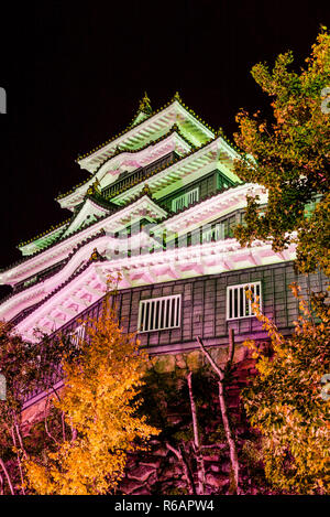 Vista notturna di Okayama castello, un samurai storico castello di Okayama, Giappone. Foto Stock