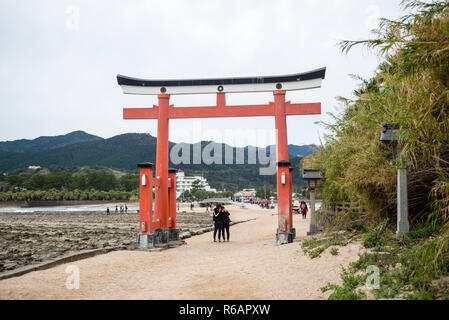 I turisti in piedi presso il Torii cancello che conduce al Santuario Aoshima, Miyazaki, Prefettura di Miyazaki, Giappone Foto Stock