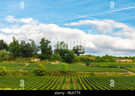 Vigneti di Bordeaux. bellissimo paesaggio di Saint Emilion vigna in Francia nel giorno di sole Foto Stock