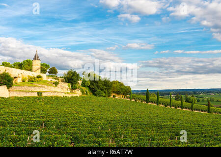 I vigneti di Saint Emilion, vigneti di Bordeaux in Francia in una giornata di sole Foto Stock