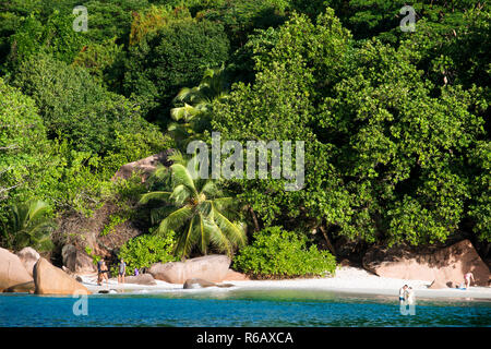 Anse Lazio beach, rocce di granito scolpite dal mare Praslin Seychelles Foto Stock