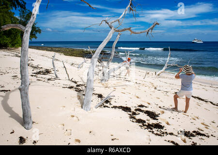 I turisti nella spiaggia di Isola di Cousin, Seychelles. Foto Stock