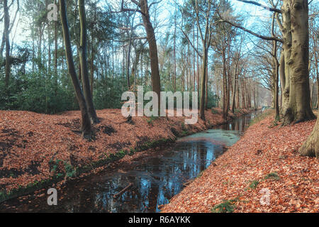 Il bellissimo parco della station wagon Gooilust in 's-Graveland nei Paesi Bassi Foto Stock