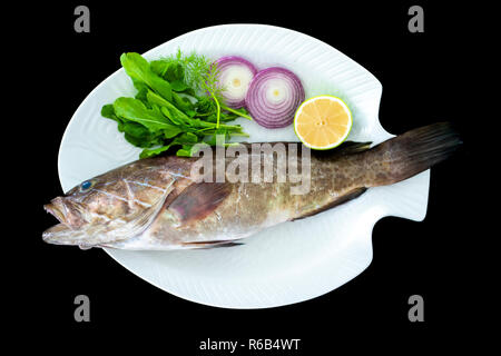 Golden Mediterranea di pesce cernia con razzi lascia servita su piastra bianca con sfondo nero Foto Stock