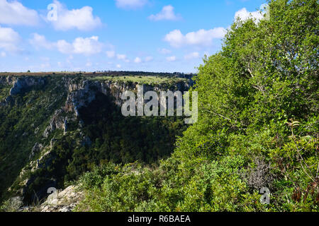 Il paesaggio del canyon di Laterza,nel territorio pugliese. Foto Stock