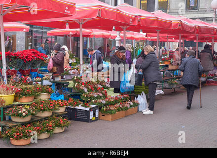 Il mercato dei fiori si spegne durante la celebrazione della Messa di Natale a Zagabria. Onorevoli decidere quali fiori per le vacanze. Foto Stock