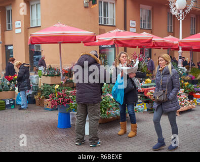 Il mercato dei fiori si spegne durante la celebrazione della Messa di Natale a Zagabria. Onorevoli decidere quali fiori per le vacanze. Foto Stock