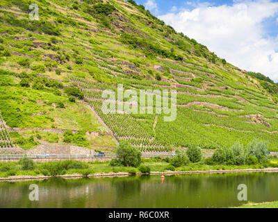 Versante collinare con vigneti lungo il fiume Mosella Foto Stock