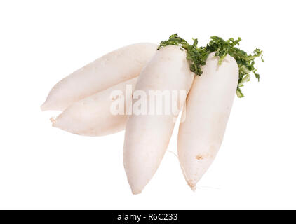 Daikon ravanelli isolati su sfondo bianco Foto Stock