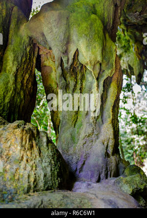 Una passeggiata attraverso la giungla lussureggiante e scogliere calcaree di Welchman Hall Gully, Barbados Foto Stock