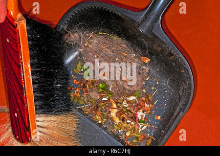 Spazzola con pala Foto Stock