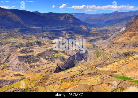 Il Perù, Colca Valley, coltivazioni a terrazza Foto Stock