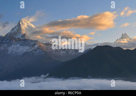 Il Nepal, Ghorepani, Poon Hill, Dhaulagiri massiccio, Himalaya, Annapurna Sud vista da Poon Hill, Himalaya Foto Stock