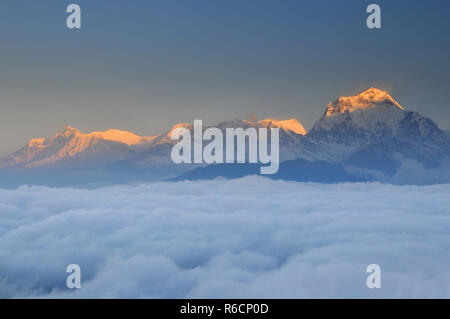 Il Nepal, Ghorepani, Poon Hill, Dhaulagiri massiccio, Himalaya, Dhaulagiri gamma guardando ad ovest da Poon Hill Foto Stock