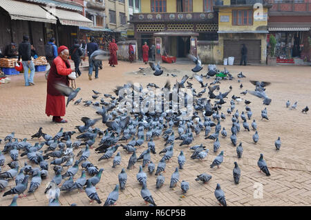 Il Nepal, Kathmandu, la vecchia Signora e i piccioni Foto Stock