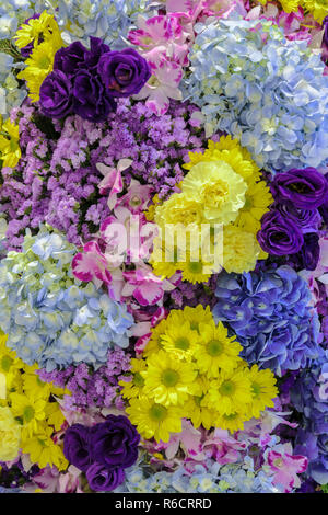 Bella fresca di diversi tipi di fiori colorati e decorati parete da giardino Foto Stock